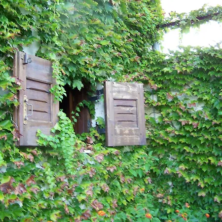 Anna Maria Hotel de apartamente