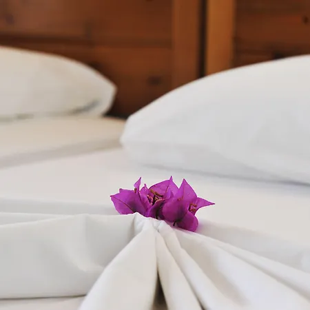 Anna Maria Hotel de apartamente Agia Paraskevi (Skiathos)