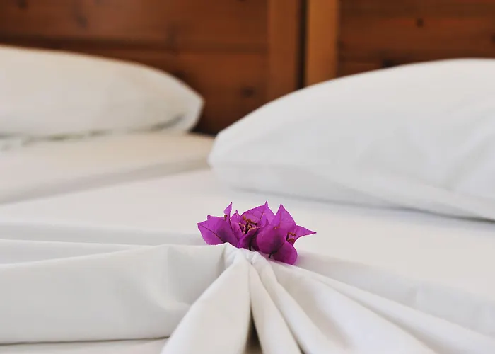 Anna Maria Aparthotel Agia Paraskevi (Skiathos)